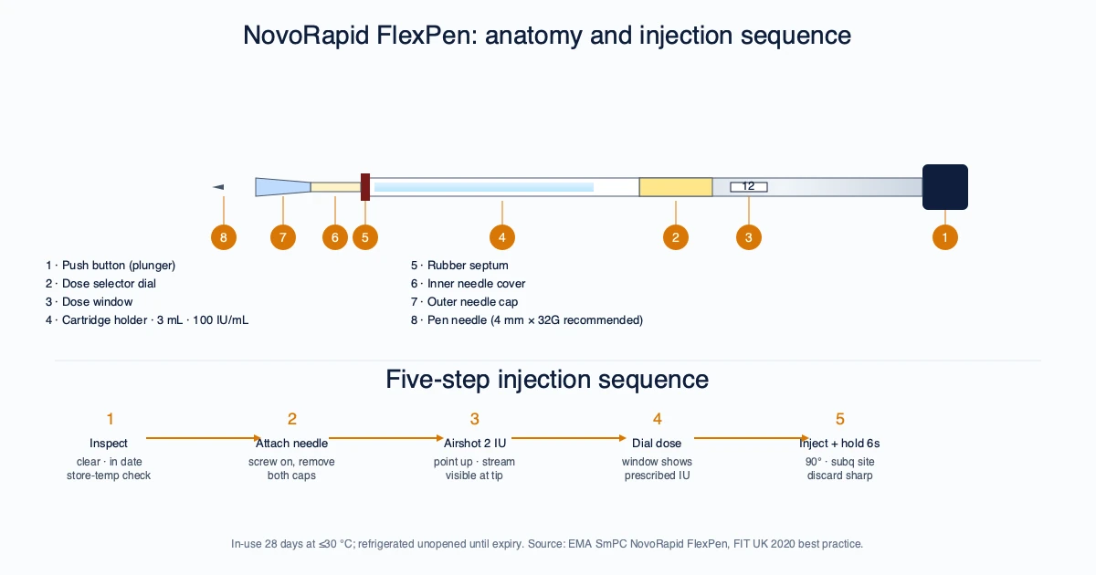 How to Use a NovoRapid FlexPen: a UK Patient Walkthrough